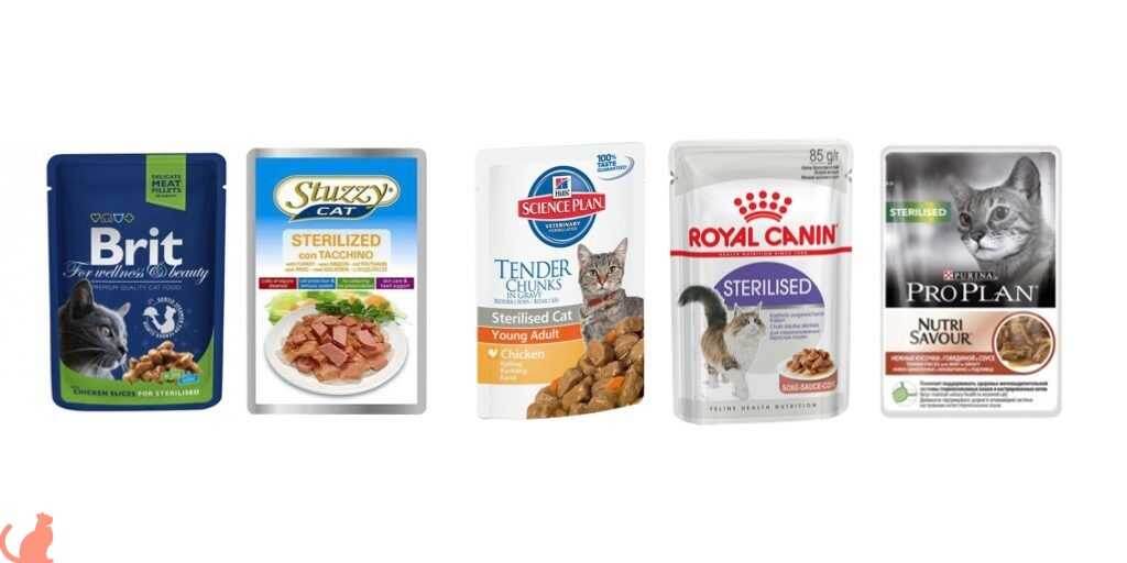 Фото из сети Интернет: https://immunocap.ru/photo/vlajniyy-korm-dlya-koshek-pauchi/76