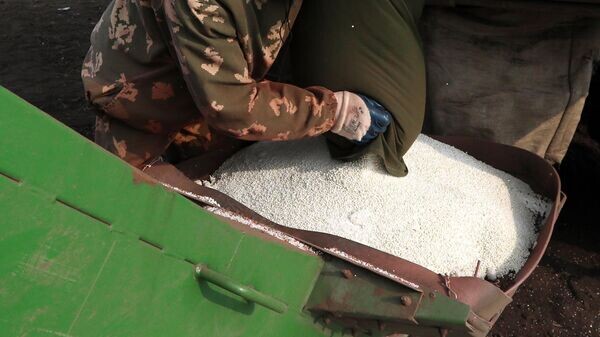    © Sputnik / Илья Наймушин