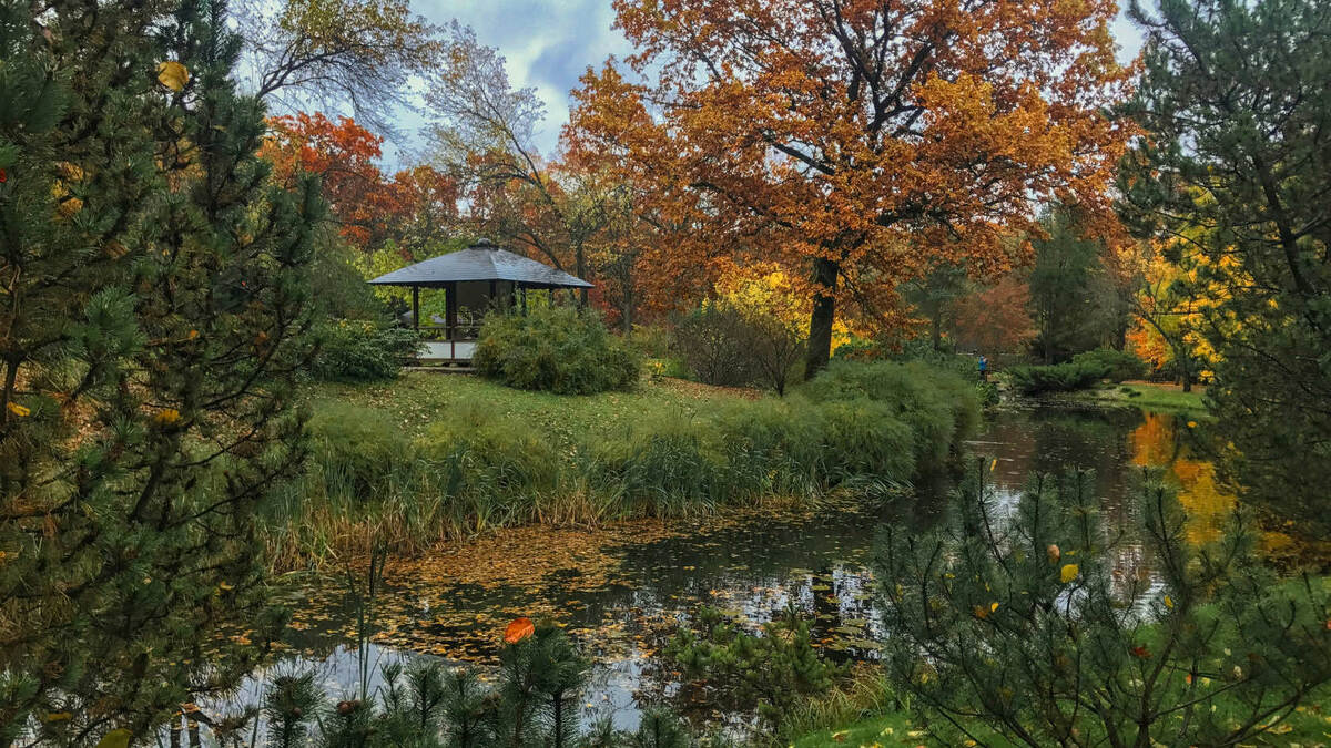 Японский сад в Москве. Фото: Svetlana Gumerova