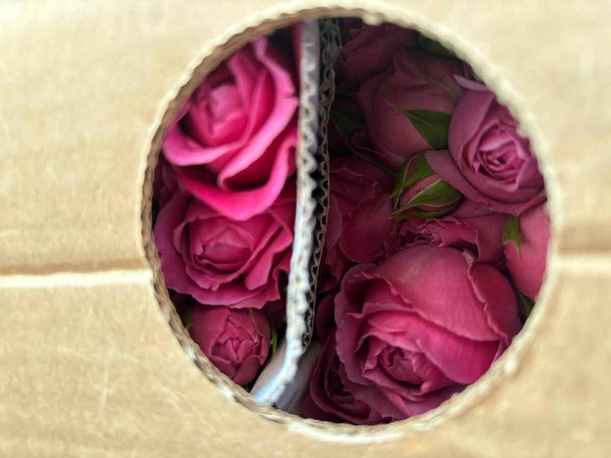    Фото: пресс-служба аэропорта Сочи