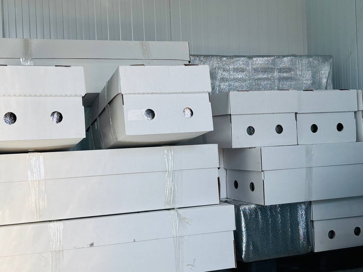    Фото: пресс-служба аэропорта Сочи