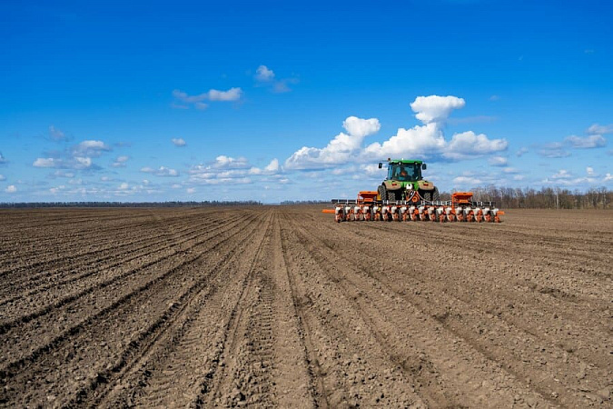 Фото: freepik.com