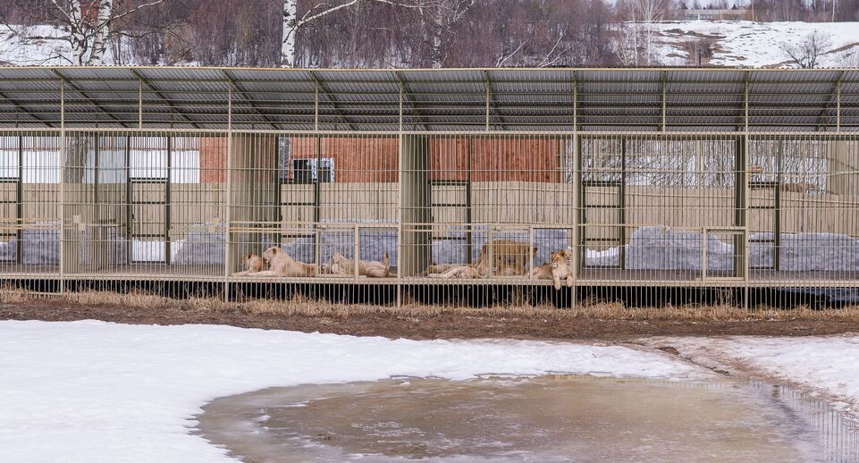    Медиасток.рф