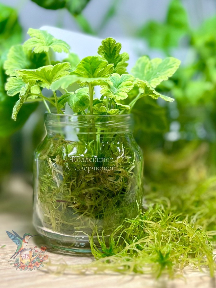 Вот так красиво это все выглядит