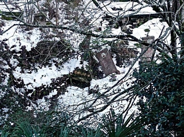     Автор: t.me/chp_sochi