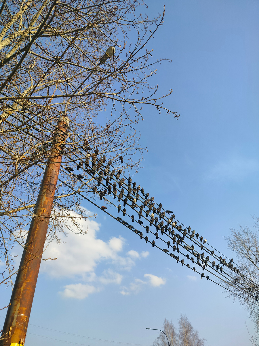 За невлюбленными людьми Любовь идет, как привиденье. В словах любви, в слезах любви Сквозит улыбка возрожденья,  И даже легче, может быть, С такой улыбкой негасимой Быть нелюбимой, но любить, Чем не любить, но быть любимой. Юнна Мориц