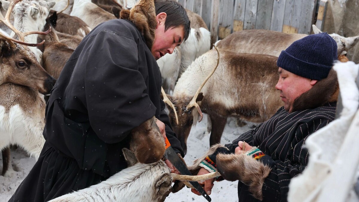    Фото: Андрей Ткачев/«Ямал-Медиа»