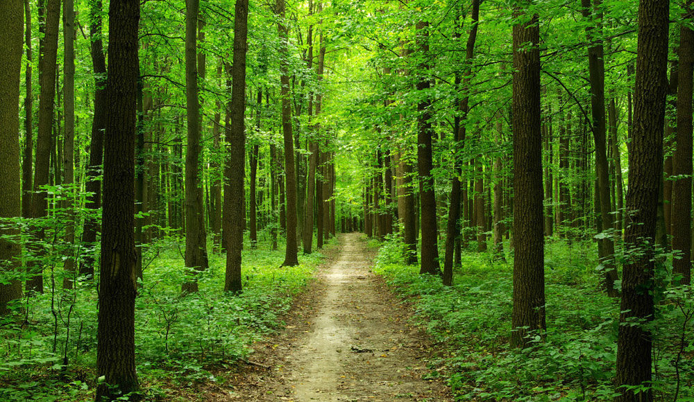    Фото: оп64.рф