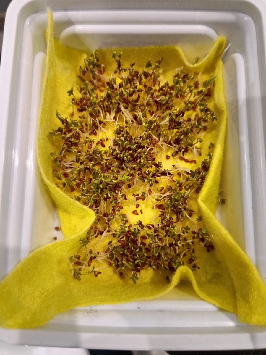 кресс салат