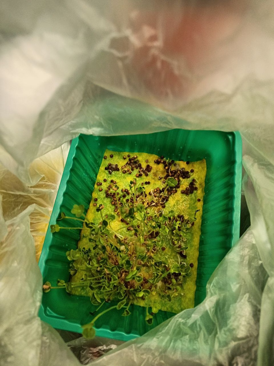 фото от 3 марта