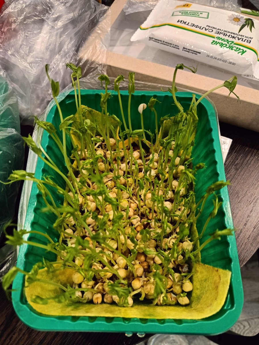 фото от 3 марта