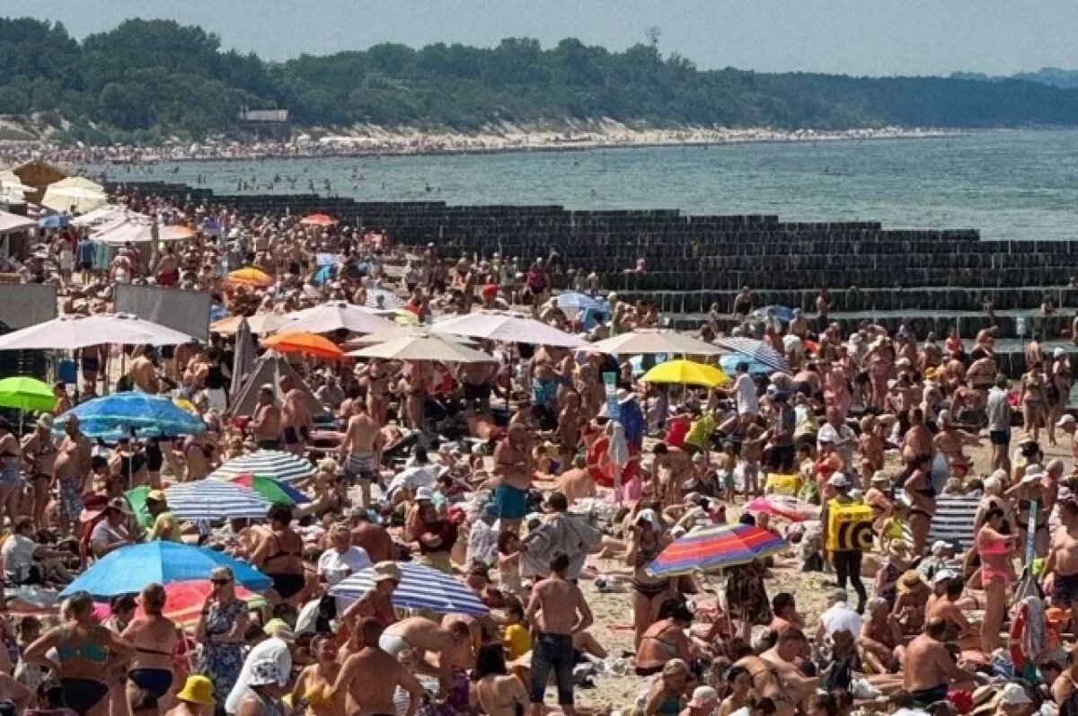    Калининградцы и туристы жарким летом предпочитают пивные напитки