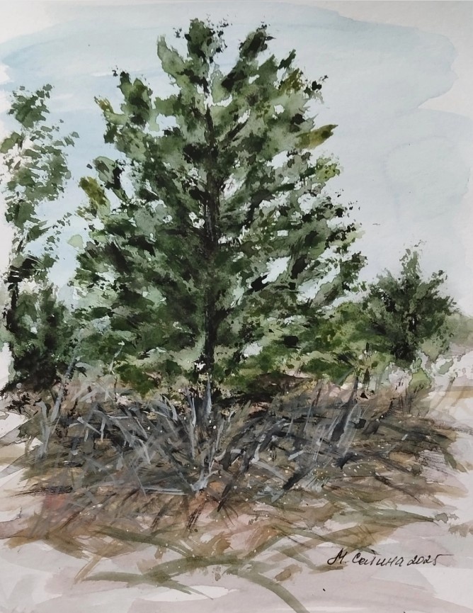 Экспрессия леса. Картина художницы Марины Сатиной 