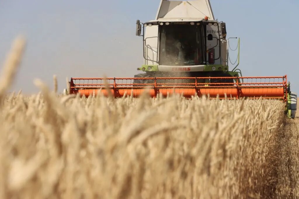 Фото здесь и далее: пресс-служба ГК «Прогресс Агро»