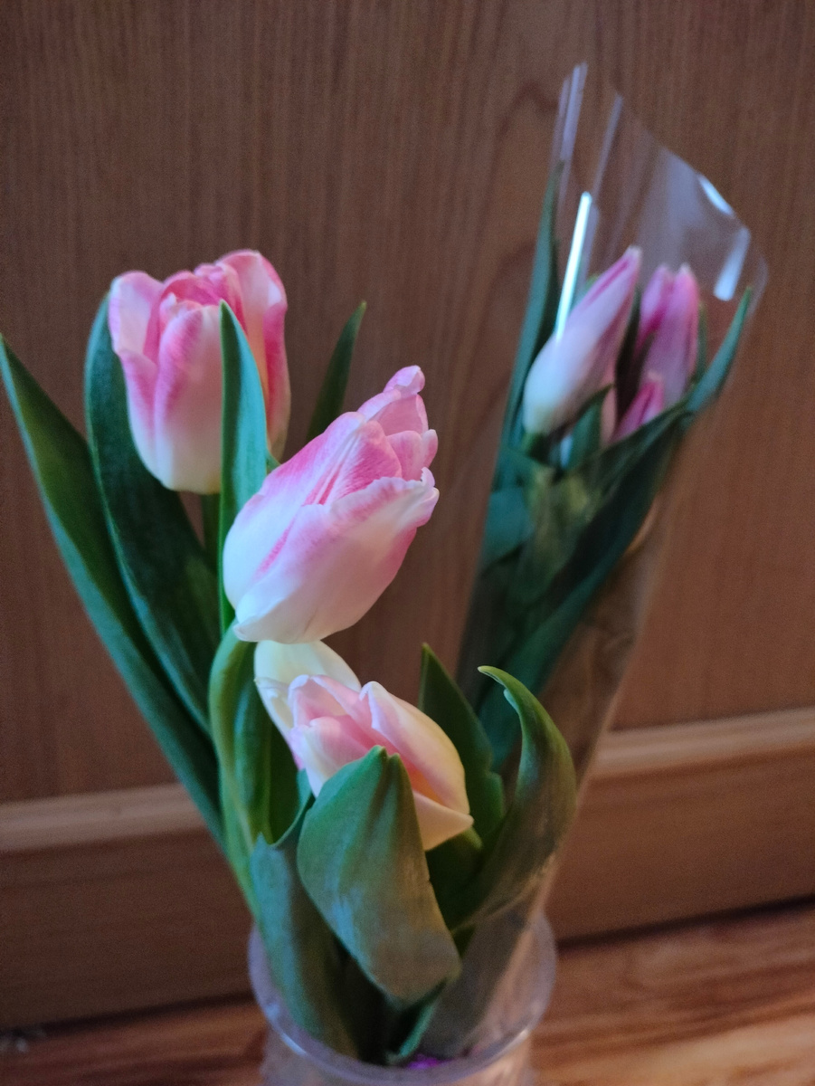 Фото автора. Тюльпаны поближе