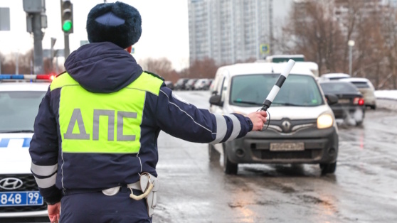    В МВД выступили против штрафов за превышение средней скорости Алина Городниченко