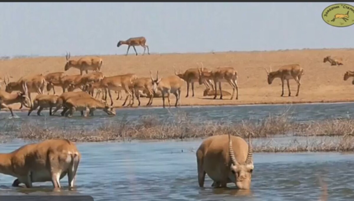 Фото: фото заказника