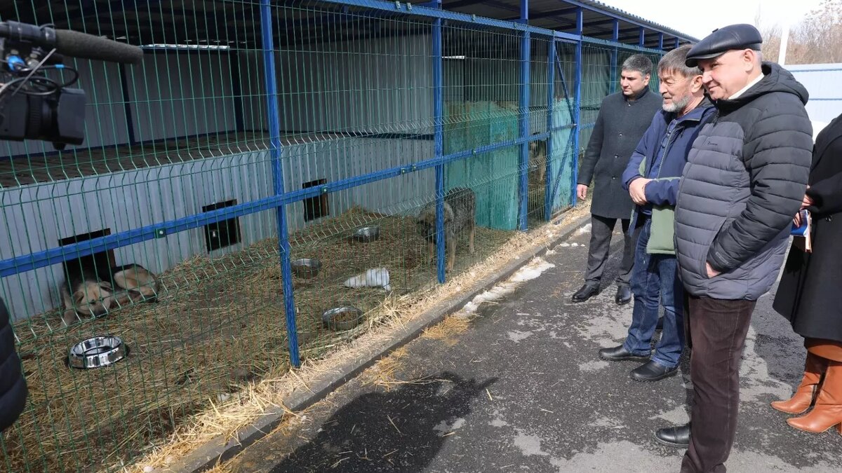     Источник: dumask.ru