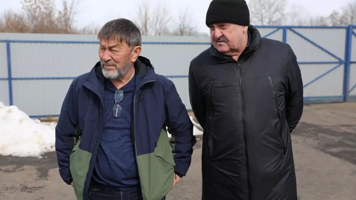     Источник: dumask.ru