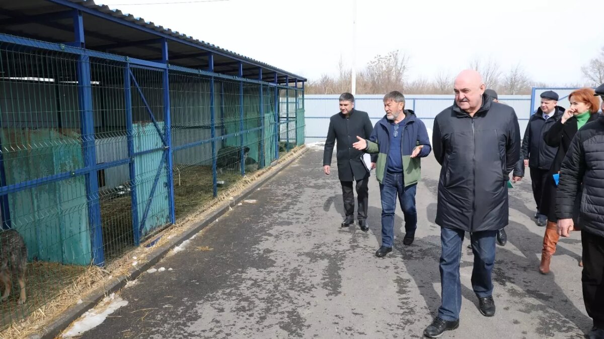     Источник: dumask.ru