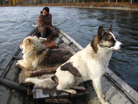 Фотографии Татьяны Немшановой. Сентябрь- октябрь 2009. Река Манья.  Лайки Бим и Дружок с хозяином. Сейчас все охотятся где-то  в небесных урманах. Дружок прожил ,18 лет. Бим 12 лет -  убит по заказу молодого соседа, сотрудника МЧС. Муж погиб в этой тайге в мае 2022...