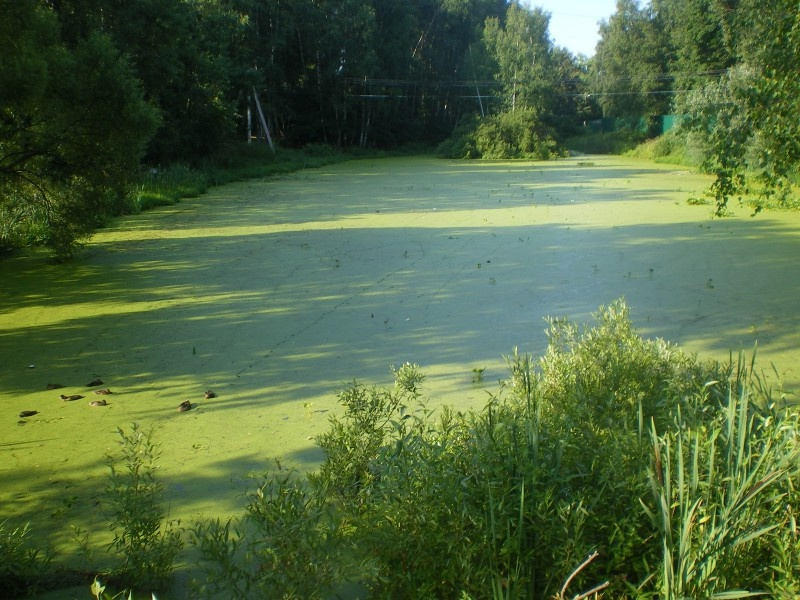 Вот такая луже, например
