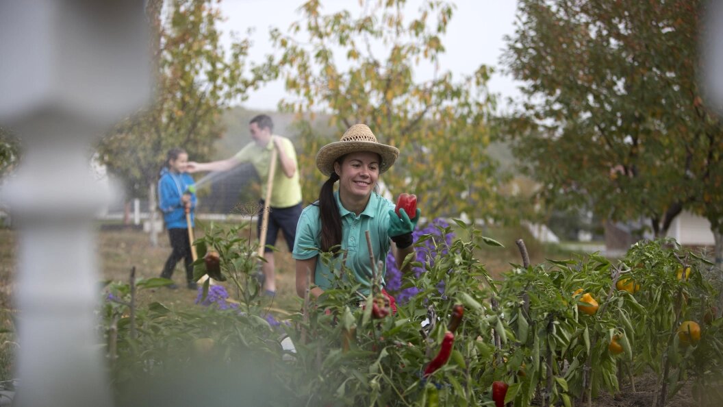    Nikolay Gyngazov/Globallookpress
