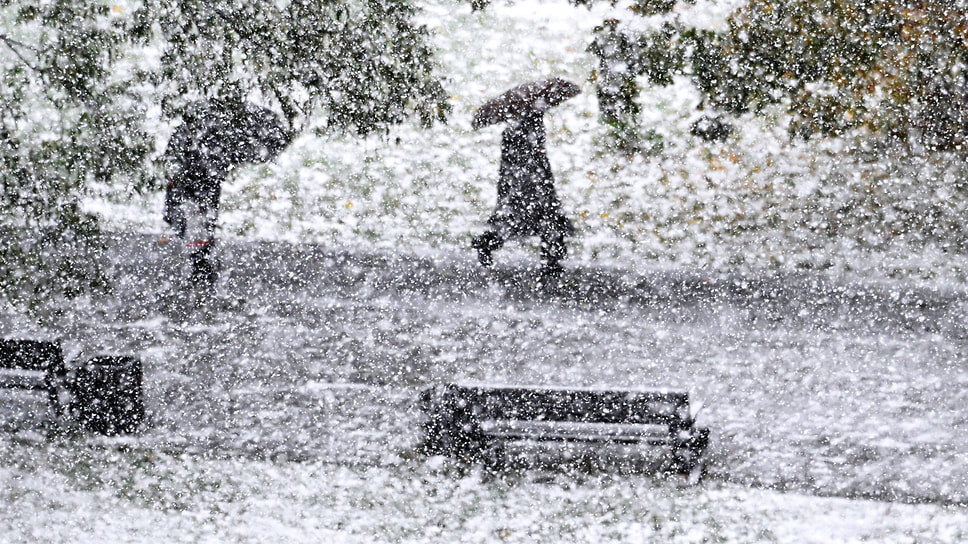 Фото: Анатолий Жданов / Коммерсантъ