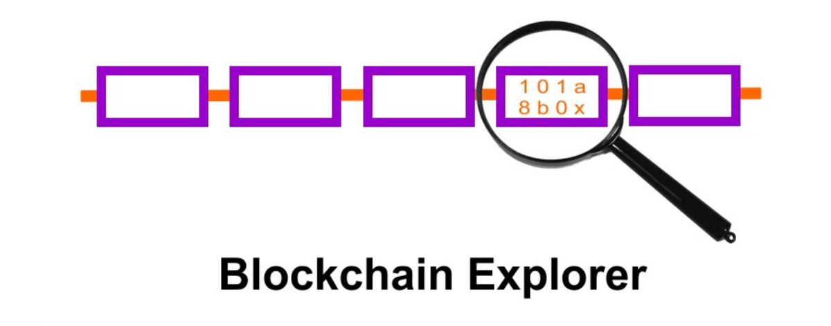 Как интерпретировать данные блокчейн-эксплореров