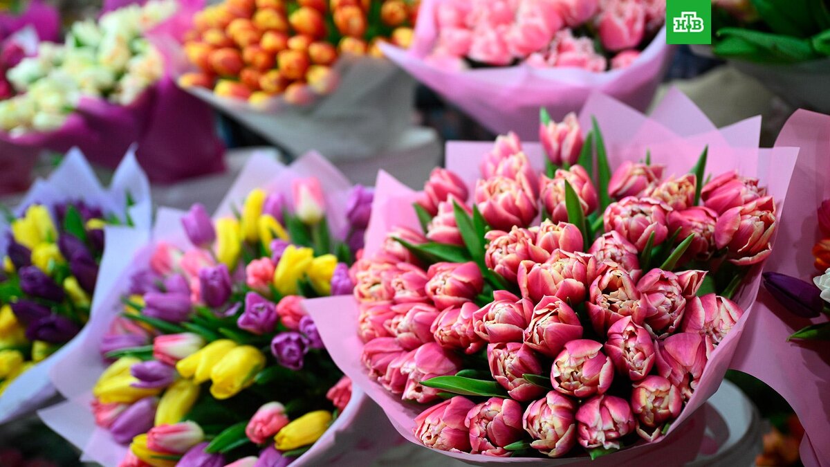    Фото: РИА Новости © 2025, Кирилл Зыков