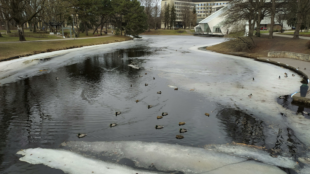    Victor Lisitsyn/Globallookpress