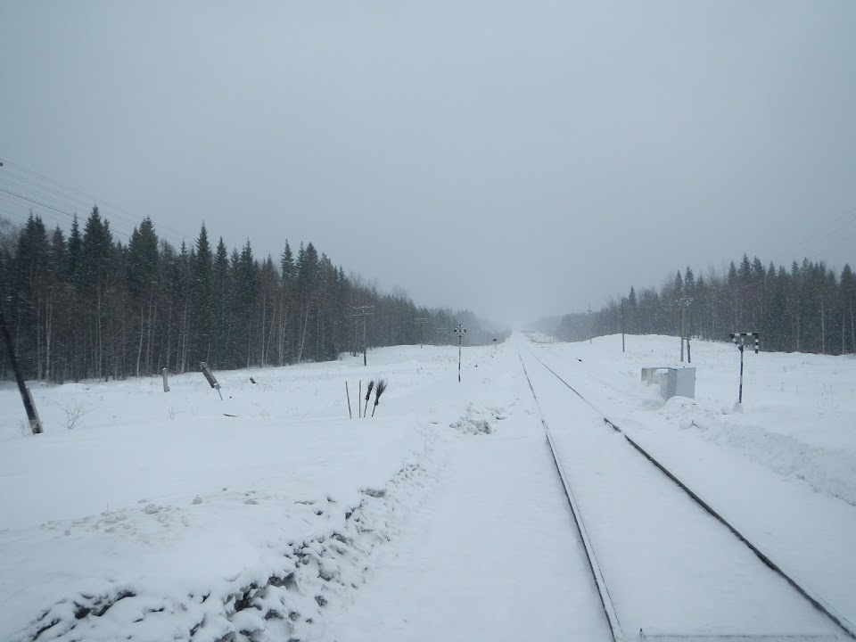 Линия на Троицко-Печорск. Google.Earth