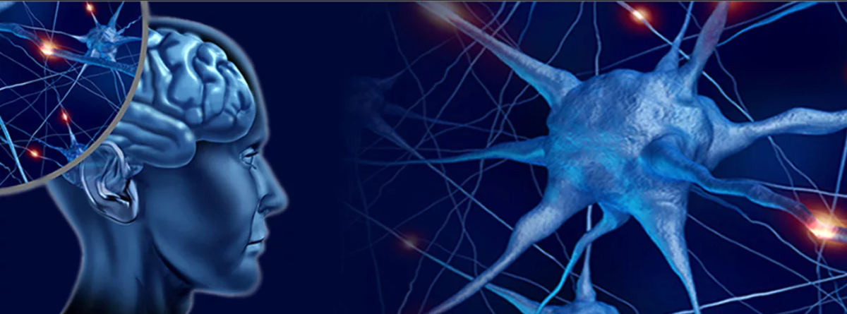 Как договариваться, используя открытия в нейропсихологии (на базе научных данных). Вера Данилочкина