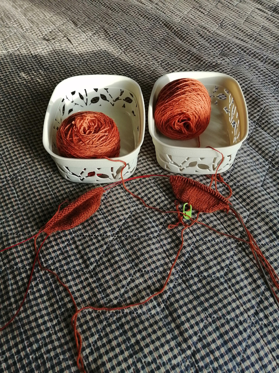 Фото автора канала 