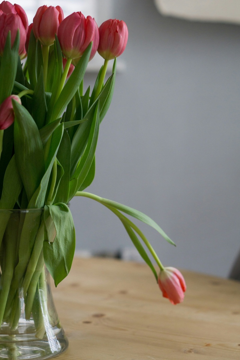 Тюльпаны в вазе.🌷🌷🌷