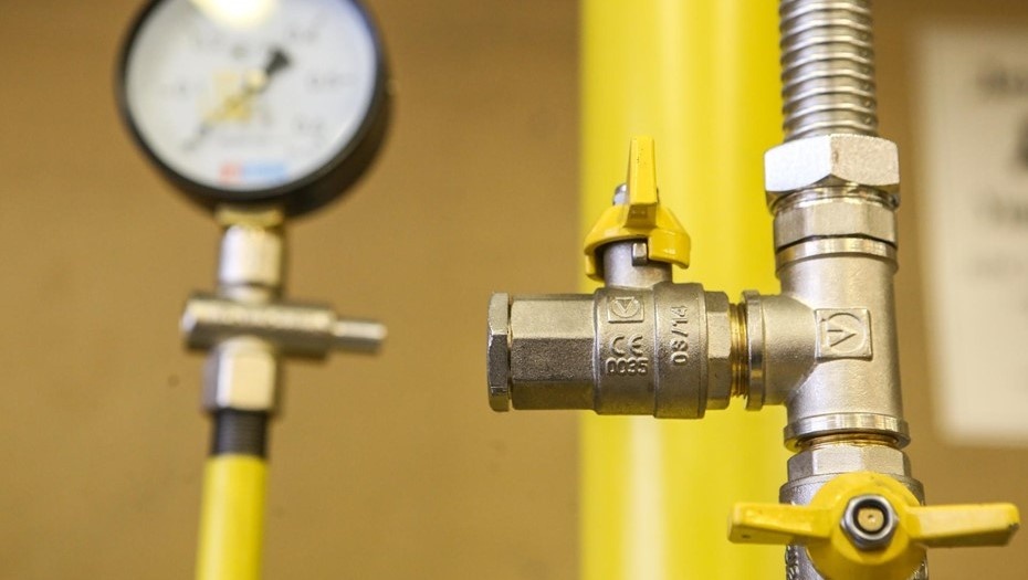    Автор фото: Коньков Сергей