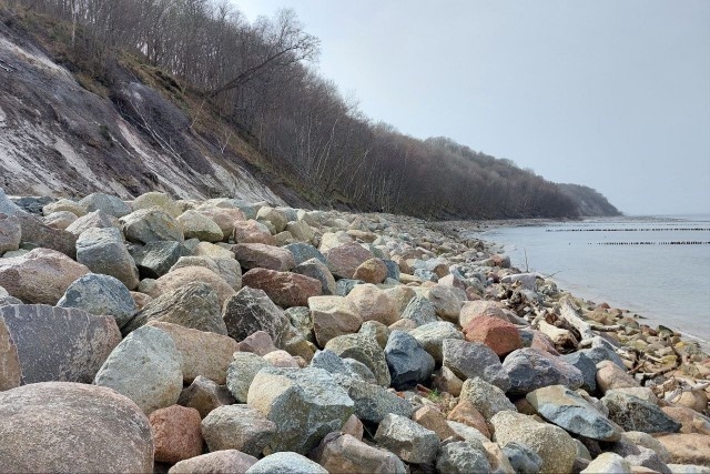   Фото из архива Калининград.Ru