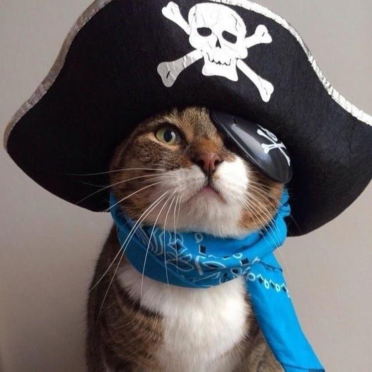 источник фото: https://cm.author.today/content/2024/11/22/29c498a24b244f2e9e3ae9bc74cc17a6.jpg?height=750&width=750&rmode=max