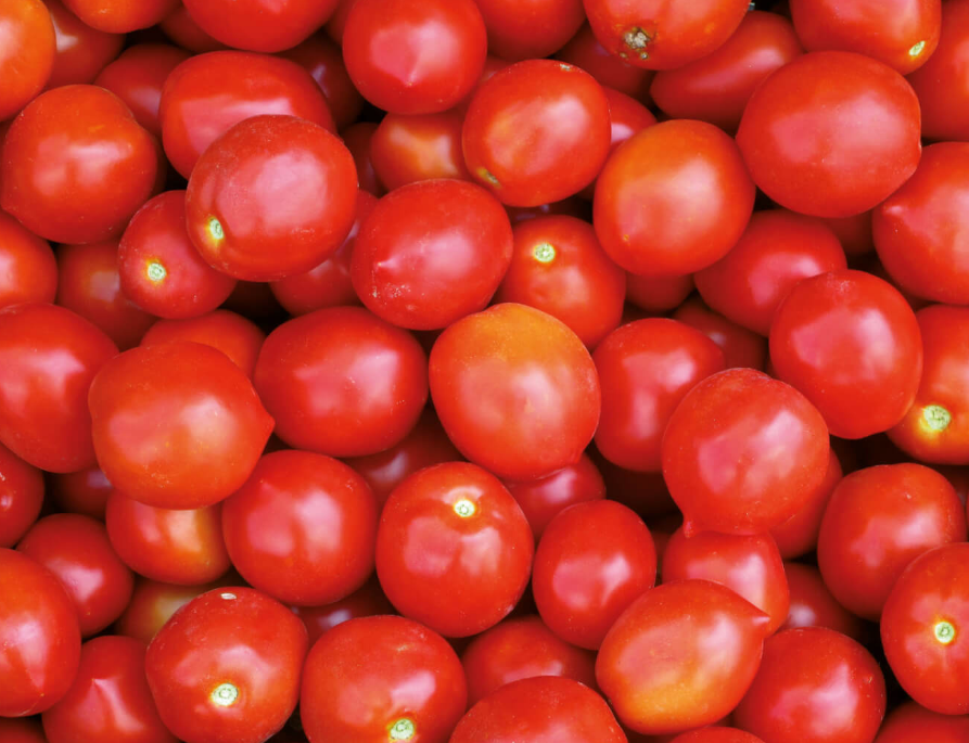 томат Консерватто