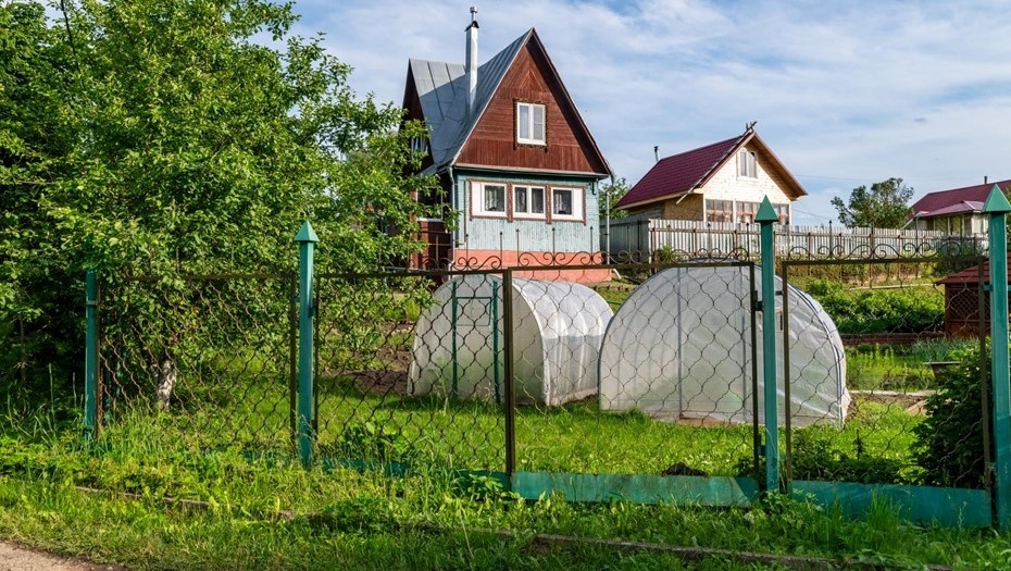    Автор фото: Тихонов Михаил