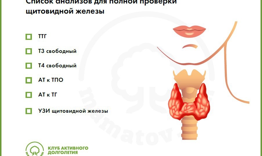 Список анализов для проверки щитовидной железы