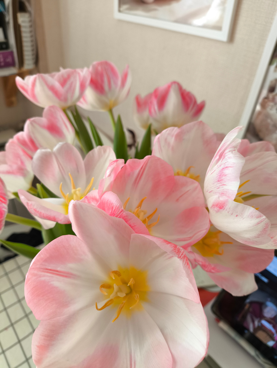 Почувствовали весну? 