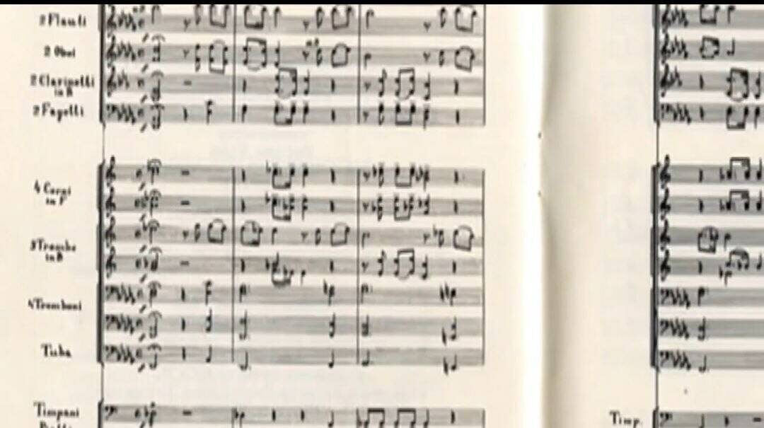 Фото: скриншот видео