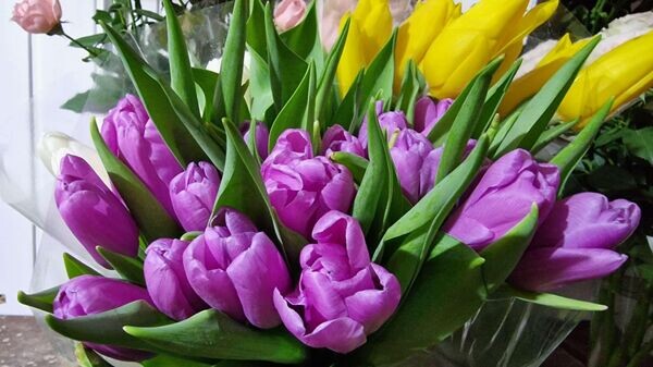    © Sputnik / Александр Жибуль