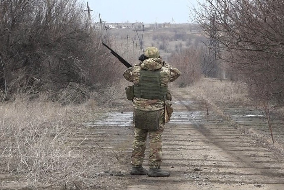   Дмитрий СТЕШИН