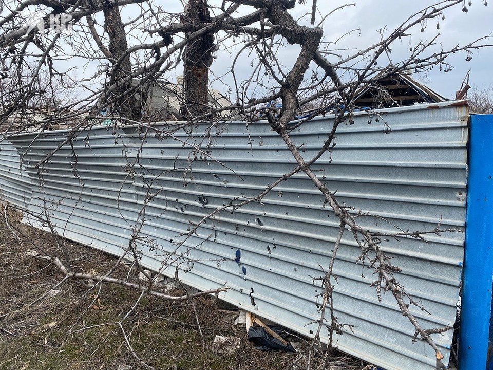   Дмитрий СТЕШИН