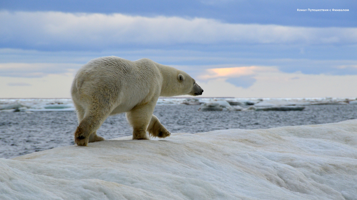 Льды у архипелага Петра.