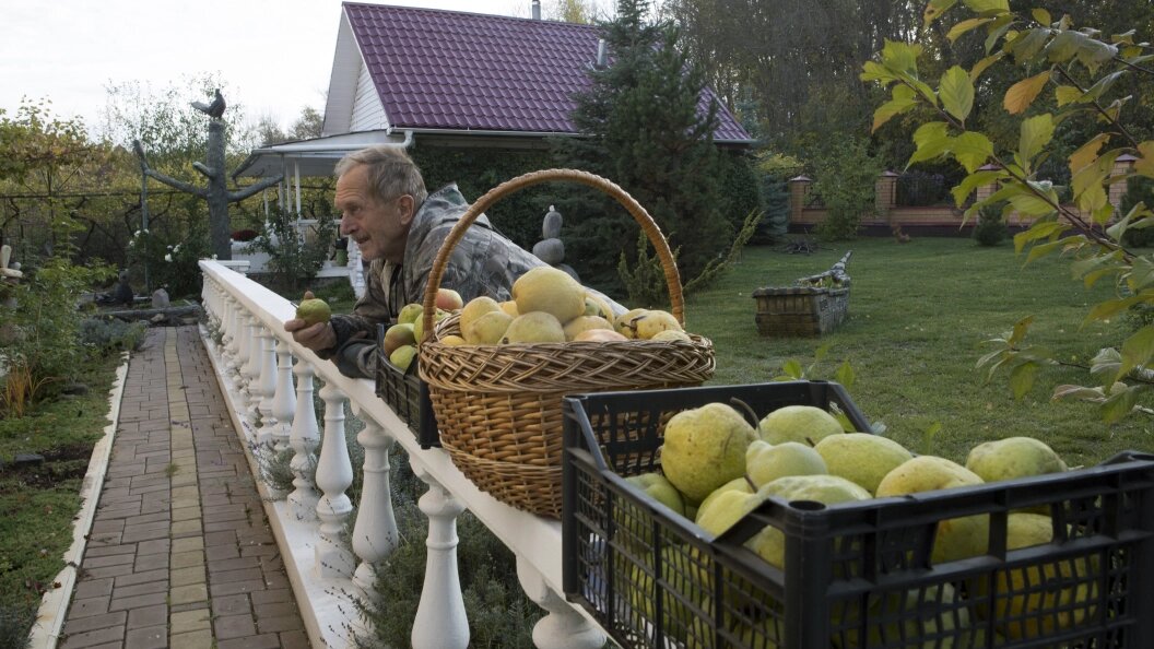    фото: Nikolay Gyngazov/Globallookpress