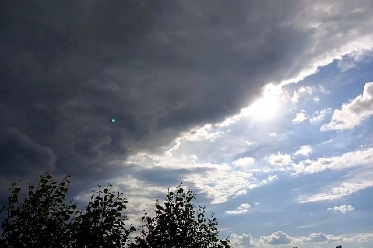    МЧС опубликовало предупреждение о сильном ветре в Ярославской области