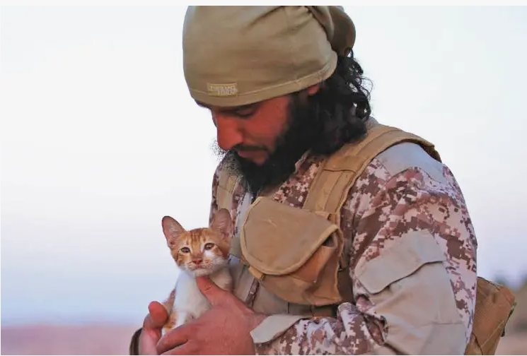 Почему кошки почитаются в исламе?